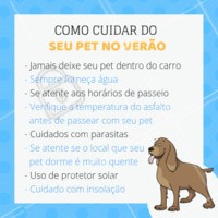 No verão, devemos ter cuidados em dobro com os nossos pets. 🐶☀ Temos que nos atentar sempre aos horários dos passeios, melhor é sair com ele nas primeiras horas da manhã e ao final da tarde, quando o sol está mais fraco, como antes das 10 horas da manhã ou depois das 16h. Também é papel dos donos verificar se o ambiente em que seus animais de estimação dormem recebe muita luz durante o dia, o que aumenta a temperatura mesmo durante a noite. Se necessário, o dono deve trocar o local da caminha. Animais também precisam se proteger contra o câncer de pele. O filtro solar deve ser aplicado em regiões sem pelos, como focinho e orelhas, o produto feito especialmente para animais não oferece riscos de intoxicação se for lambido pelos bichos. Em qualquer que for o caso, o melhor é leva-lo a um especialista. #vet #pet #verao #ahazoupet #cuidados #dog