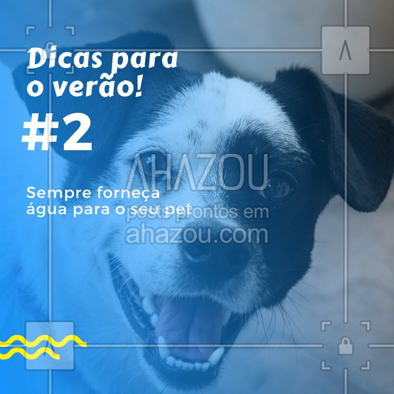 post-imagem-frase-petshop-veterinario-temporal-dic-1