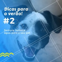 💦 No verão, o animal se desidrata muito mais rápido devido ao calor, principalmente se sair para passear, devido ao esforço físico. Leve sempre com você uma garrafa de água e quando observar que ele começa a ficar com a língua de fora, com insistência dê-lhe um pouco de água. É muito importante manter o seu bichinho sempre hidratado. #pet #verao #dicas #ahazoupet #veterinario #agua