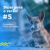 Micoses, piolhos, sarnas e parasitas de pele são mais comuns no verão. Para evitar este problema recomenda-se evitar levar o pet a locais muito frequentados por outros animais, aplicar remédios antipulgas e procurar um veterinário se perceber sinais como vômito ou diarreia. #pet #verao #dicas #ahazoupet #veterinario #parasitas