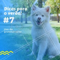 🔆 O uso de protetor solar também é importante para os pets. A recomendação vale principalmente para cães e gatos de pele clara (a cor da barriga do pet indica se ele se inclui nessa categoria). O filtro deve ser aplicado em regiões sem pelos, como focinho e orelhas, em média a cada duas horas, ou menos, em caso de contato com água. O produto feito especialmente para animais não oferece riscos de intoxicação se for lambido pelos bichos. Nunca aplique protetor solar humano sem consultar um medico veterinário sobre qual a melhor opção para o seu animal, isto pode ser muito perigoso. #pet #verao #dicas #ahazoupet #veterinario #protetorsolar
