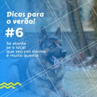 É papel dos donos verificar se o ambiente em que seus animais de estimação dormem recebe muita luz durante o dia. Isso faz com que aumente a temperatura mesmo durante a noite. É importante também verificar se o local é ventilado, e se necessário, o dono deve trocar o local da caminha. #pet #verao #dicas #ahazoupet #veterinario