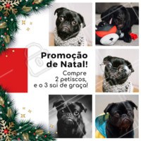 Não perca essa promoção que o seu peludo vai AMAR ❤️️🐶😍 #pet #promocao #ahazoupet #natal