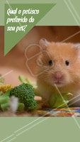 Conta pra gente qual o petisco que o seu pet mais ama! #pet #ahazoupet #petiscos