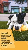 Quer novidades e acessórios lindos para o seu pet? Então corre pra cá.
#pet #ahazoupet #acessorios