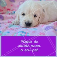 Temos planos de saúde para o seu filhote, entre em contato conosco e saiba mais.
#pet #ahazoupet #saude