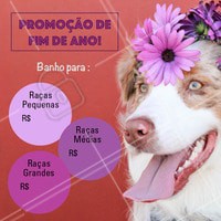 Não perca essa promoção e traga seu peludo para um banho! #banho #pet #dog #ahazoupet #promocao #fimdeano