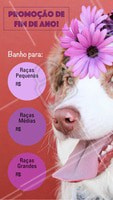 Não perca essa promoção e traga seu peludo para um banho! #banho #pet #dog #ahazoupet #promocao #fimdeano