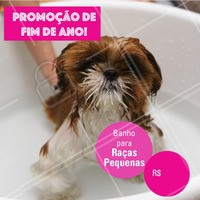 Não perca essa promoção e traga seu peludo para um banho! #banho #pet #dog #ahazoupet #promocao #fimdeano