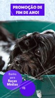 Não perca essa promoção e traga seu peludo para um banho! #banho #pet #dog #ahazoupet #promocao #fimdeano