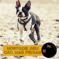 Não perca essa promoção e traga seu peludo para se hospedar com a gente! #hospedagempet #pet #dog #ahazoupet #promocao #fimdeano