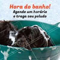 Já agendou o horário do seu amigão? #banho #pet #ahazouapp #ahazoupet #banhoetosa #petshop