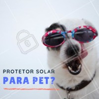 SIM! Os pets também precisam de protetor solar 🐶🐱☀️ Mesmo a maioria tendo muitos pelos, os animais sofrem queimaduras solares, principalmente os que possuem cores claras. A solução para isso é utilizar protetor solar de uso veterinário principalmente em volta dos olhos, em cima do nariz e dentro das orelhas. Nessas regiões é importante passar não apenas quando for passear, mas diariamente, pois muitos pets gostam de ficar esticados no sol. #protetorsolar #pet #ahazoupet #veterinario #verao #sol