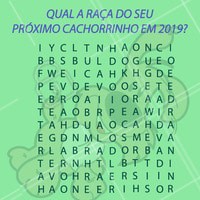 Ano novo = doguinho novo. Procede, "produção"? hahahaha
#pet #ahazou #2019 #cacapalavras