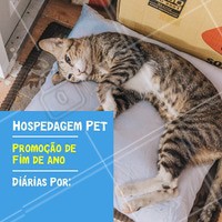 Não perca essa promoção e traga seu peludo para se hospedar com a gente! #hospedagempet #pet #dog #ahazoupet #promocao #fimdeano