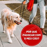 Muitos imaginam que, por possuírem grandes quintais, faz-se desnecessário caminhar com o seu cão. Isto é um grave erro. Casas, sítios e até fazendas, possuem uma delimitação física. O cão não exercita a exploração além de seu território e, sem uma motivação externa, como caça, água ou ampliação dos seus domínios, não se exercita sozinho da maneira correta. Para ele, um quintal enorme é apenas um grande canil. Passear é preciso e fundamental para a saúde física e psicológica do seu cachorro. #dogwalker #dogs #passeio #passeador #ahazouapp #ahazoupet #pets #exercicio