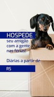 Não sabe com quem deixar seu pet nas férias? Nós cuidamos dele, com MUITO amor! 🐶🐱❤️️ Entre em contato para maiores informações XXXXXX #pet #hotel #hospedagempet #ahazoupet #ferias