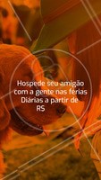 Não sabe com quem deixar seu pet nas férias? Nós cuidamos dele, com MUITO amor! 🐶🐱❤️️ Entre em contato para maiores informações XXXXXX #pet #hotel #hospedagempet #ahazoupet #ferias
