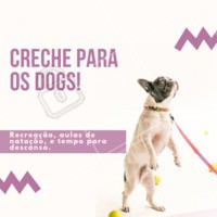 Seu cachorro fica muito tempo sozinho? Você não tempo para brincar ou sair para passear com ele? Nós temos a solução. Traga-o para a nossa creche e deixe seu amigão MUITO feliz! #pet #creche #daycare #ahazoupet #dog #hotelpet