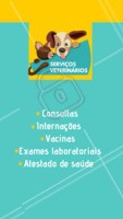 Na nossa clínica temos diversos serviços para o seu pet. Entre em contato com a gente para maiores informações XXXXXX #vet #pet #ahazoupet #veterinario #amigaopet #peludo