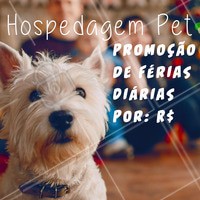Não perca essa promoção e traga seu peludo para se hospedar com a gente! #hospedagempet #pet #dog #ahazoupet #promocao #fimdeano