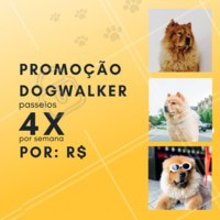 Que tal aproveitar essa promoção especial e dar um pouquinho de alegria ao seu dog 🐶? Aproveite nosso passeio de 4x por semana, essa promoção é por tempo limitado! #pet #ahazou #dog #doglovers #Dogwalker