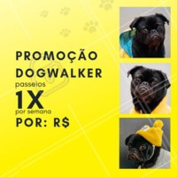 Que tal aproveitar essa promoção especial e dar um pouquinho de alegria ao seu dog 🐶? Aproveite nosso passeio de 1x por semana, essa promoção é por tempo limitado! #pet #ahazou #dog #doglovers #Dogwalker