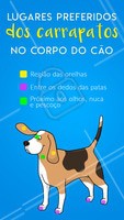 #stories #ahazou #pet