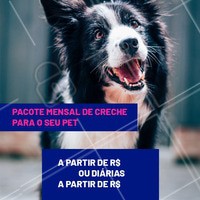 Seu cachorro fica muito tempo sozinho? Você não tempo para brincar ou sair para passear com ele? Nós temos a solução. Traga-o para a nossa creche e deixe seu amigão MUITO feliz! #pet #creche #daycare #ahazoupet #dog #hotelpet