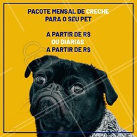 Seu cachorro fica muito tempo sozinho? Você não tempo para brincar ou sair para passear com ele? Nós temos a solução. Traga-o para a nossa creche e deixe seu amigão MUITO feliz! #pet #creche #daycare #ahazoupet #dog #hotelpet