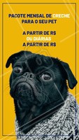Seu cachorro fica muito tempo sozinho? Você não tempo para brincar ou sair para passear com ele? Nós temos a solução. Traga-o para a nossa creche e deixe seu amigão MUITO feliz! #pet #creche #daycare #ahazoupet #dog #hotelpet