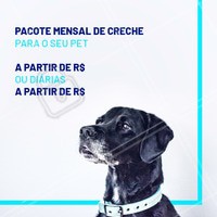Seu cachorro fica muito tempo sozinho? Você não tempo para brincar ou sair para passear com ele? Nós temos a solução. Traga-o para a nossa creche e deixe seu amigão MUITO feliz! #pet #creche #daycare #ahazoupet #dog #hotelpet