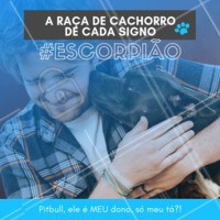 Ciumento? Um pouco, talvez muito! Hahaha quem concorda? 😂❤️️♏ #signos #pet #ahazoupet #dogs #escorpiao