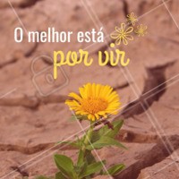 Acredite fielmente nisto! ✨ #frases #ahazou #motivacional #sonhos