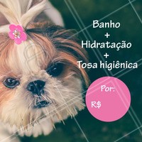 Seu pet merece um dia de beleza 🐶🐱❤️️ Agende um horário! #petshop #pet #ahazoupet #banho #tosa