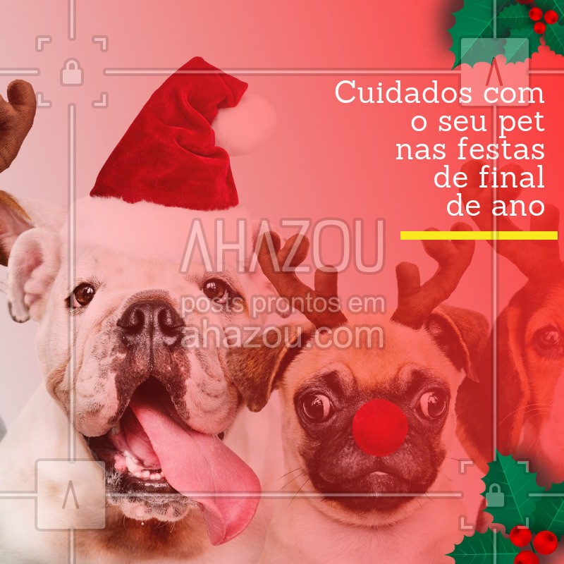 post-imagem-frase-pet-temporal-dicas-3