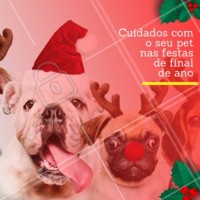 Esta época de comemorações pode oferecer várias situações de risco para o seu pet. Fique atento! ⚠ A maioria dos acidentes envolve, principalmente, enfeites natalinos, choque por causa das lâmpadas de iluminação, intoxicação alimentar e, até mesmo, fugas devido ao medo dos fogos de artifício. Não se esqueçam de manter os seus pets protegidos dando a máxima atenção para eles! #pet #cuidados #ahazoupet #fimdeano #natal