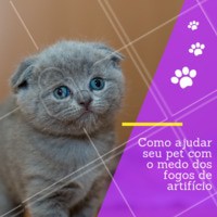 Muitos bichinhos sofrem nessa época do ano com o medo dos fogos. É importante lembrar, que os cachorros escutam quatro vezes mais alto que os humanos, o que já explica o medo desses barulhos intensos. Alguns sinais que seu pet pode dar quando está com medo são: - tremores - hiperatividade - roer ou atacar objetos - esconder-se - arfar - procurar atenção - tentar fugir - "chorar" - latir. Por mais difícil que seja, os donos devem ignorar qualquer sinal de medo e recompensar o cão sempre que este se mostre calmo. Ou seja, se o cão começar a tremer, o dono não deve afagá-lo; se o cão se esconder, o dono não deve falar de forma terna. Use o seu tom normal para chamar o cão e cada passo que ele der em frente, recompense-o com elogios. Não deve também castigá-lo por mostrar medo. Leve o cão à cama dele para que aí se sinta em segurança. Se o cão não relaxar, tente brincar com ele. É de extrema importância que os donos se responsabilizem e não deixem o seu pet sozinho nesses momentos. Em casos de pânico, os pets podem acabar destruindo a casa e se machucando. Certifique-se sempre que seu pet esteja em segurança. #pet #dogs #cuidados #ahazou #fimdeano #anonovo #fogos #barulho