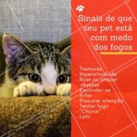 Muitos bichinhos sofrem nessa época do ano com o medo dos fogos. É importante lembrar, que os cachorros escutam quatro vezes mais alto que os humanos, o que já explica o medo desses barulhos intensos. Por mais difícil que seja, os donos devem ignorar qualquer sinal de medo e recompensar o cão sempre que este se mostre calmo. Ou seja, se o cão começar a tremer, o dono não deve afagá-lo; se o cão se esconder, o dono não deve falar de forma terna. Use o seu tom normal para chamar o cão e cada passo que ele der em frente, recompense-o com elogios. Não deve também castigá-lo por mostrar medo. Leve o cão à cama dele para que aí se sinta em segurança. Se o cão não relaxar, tente brincar com ele. É de extrema importância que os donos se responsabilizem e não deixem o seu pet sozinho nesses momentos. Em casos de pânico, os pets podem acabar destruindo a casa e se machucando. Certifique-se sempre que seu pet esteja em segurança. #pet #dogs #cuidados #ahazou #fimdeano #anonovo #fogos #barulho