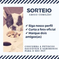 Seu amigão vai AMAR! 🐶🐱😍 Siga as regras e participe do nosso sorteio! #sorteio #ahazoupet #petshop