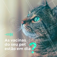 As vacinas são prioridades para a saúde do seu bichinho. Traga-o para os nossos especialistas! #veterinario #vet #pet #ahazouapp #ahazoupet #vacinas #checkup #consulta