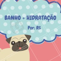 Seu pet merece um dia de beleza 🐶🐱❤️️ Agende um horário! #petshop #pet #ahazoupet #banho #tosa