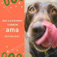 Os petiscos servem não só para um agrado rotineiro, mas também como uma forma de educar o seu cão, usado muitas vezes em técnicas de adestramento. Além, claro, do seu peludo AMAR né? ❤️️ Aqui temos diversas opções, venha nos visitar! #dog #pet #petiscos #ahazou #petshop #agrado #adestramento