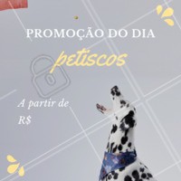 Não perca nossa promoção do dia e faça seu pet feliz! ❤️️ #pet #petshop #promocao #ahazou #amomeupet
