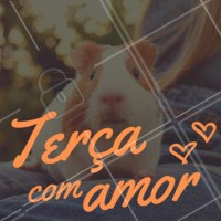 Já abraçou um pet hoje? ❤️️ Uma ótima terça para todos vocês! #pet #amorpelosanimais #ahazou #motivacional #bomdia