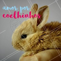 Quem aí também sente esse amor enorme? ❤️️ #pets #ahazou #amor #loveanimals
