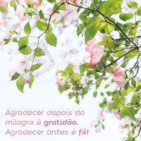 Agradeça sempre! #motivacional #ahazou #fe #Inspiraçao