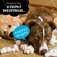 "Juro, eu tava aqui quietinho!" 😂😂 #cachorro #ahazou #aculpaedasestrelas