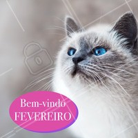 Fevereiro já chegou, seja bem-vindo! 🌻💛 #fevereiro #ahazou #bemvindo #pet