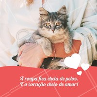 Vale a pena, né? ❤️ #gato #ahazou #pets
